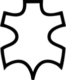 icon_policy