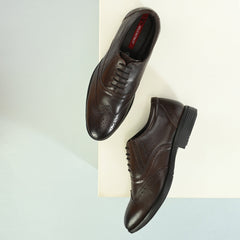 Men Premium Leather Brown Lace-Up Formal Derby Shoes (Exicom-70)