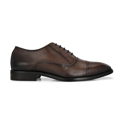 Men Premium Leather Brown Lace-Up Formal Derby Shoes (Giness-66-Brown)