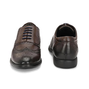 Men Premium Leather Brown Brogue Formal Shoes (Joyland-70-Brown)