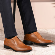Men Premium Leather Formal Brogue Shoes - Brown (Indigo-73-Tan)