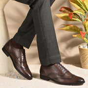 Men Premium Leather Formal Brogue Shoes - Brown (Regal-70-Brown)