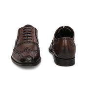 Men Premium Leather Formal Brogue Shoes - Brown (Regal-70-Brown)
