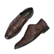 Men Premium Leather Formal Brogue Shoes - Brown (Regal-70-Brown)