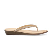 Women Embellished Strap Flat Sandals (W-MS-06-GOLD)